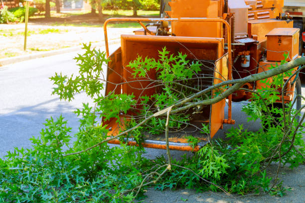 Best Lawn Grading and Leveling  in Mccrory, AR