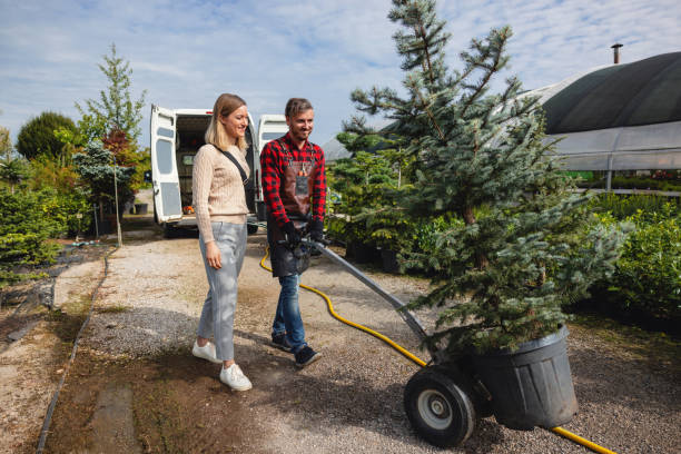 Best Tree and Shrub Care  in Mccrory, AR